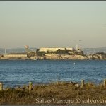 San Francisco, Alcatraz from the Marina