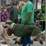 BlogExport_salvo-ventura_2012.03.17 St Patrick Day San Francisco 2012_DSC_1942