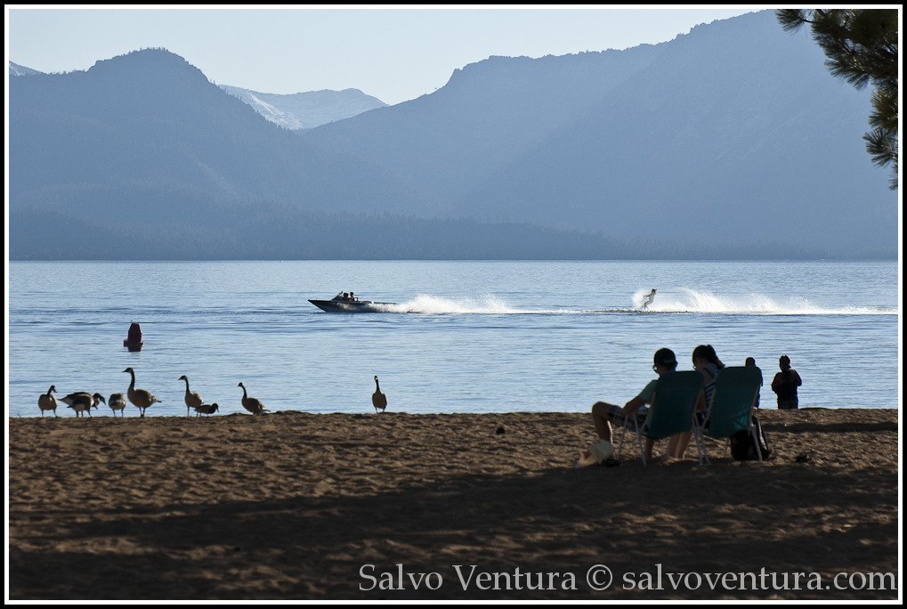 blogexport_salvo-ventura_2012-06-13-lake-tahoe_dsc_3262