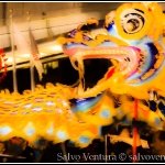 2013.02.23 San Francisco Chinese New Year Parade