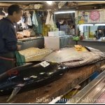 2013.11.14 Tokyo Tsukiji Fish Market
