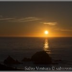 2011 Salvatore Ventura Photography Highlights