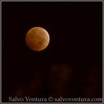 BlogExport_salvo-ventura_2014.10.08 Blood Moon in October_DSC_8718