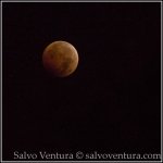 BlogExport_salvo-ventura_2014.10.08 Blood Moon in October_DSC_8738