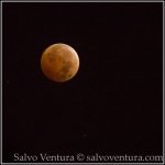 BlogExport_salvo-ventura_2014.10.08 Blood Moon in October_DSC_8746