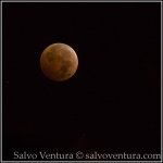 BlogExport_salvo-ventura_2014.10.08 Blood Moon in October_DSC_8750