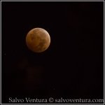 BlogExport_salvo-ventura_2014.10.08 Blood Moon in October_DSC_8761