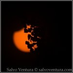 salvoventura.com-california, eclipse, filter, santa clara, solar eclipse, sun