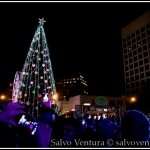 salvo ventura photography - 2014 Christmas in the Park, San Jose