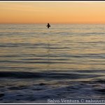 salvoventura-blog-DSC_5163-2012.November.24