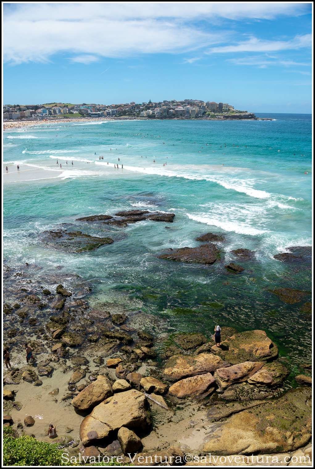 2016.03.05 Sydney Bondi to Coogee coastal hike-salvoventura-blog-DSC_6781