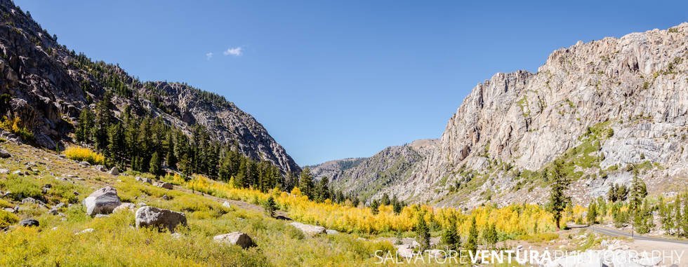 salvoventura_mono_county_fall_colors_DSC_3539-pano