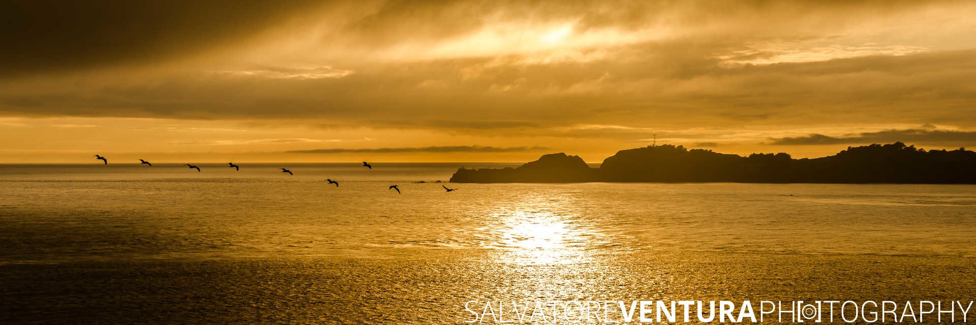 Point Bonita Lighthouse at Golden Sunset with pelicans - Salvatore Ventura Ph[o]tography