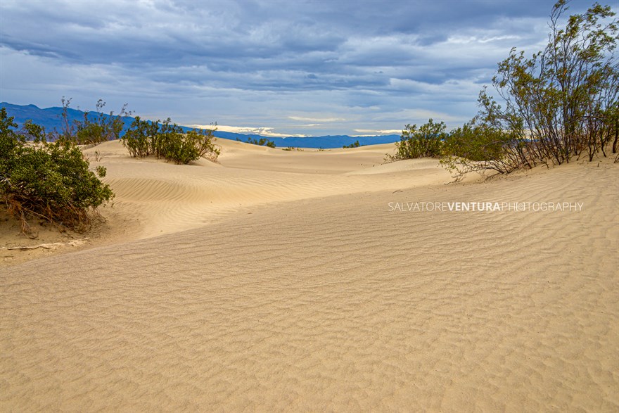 salvoventura-death-valley-national-park-2019-05