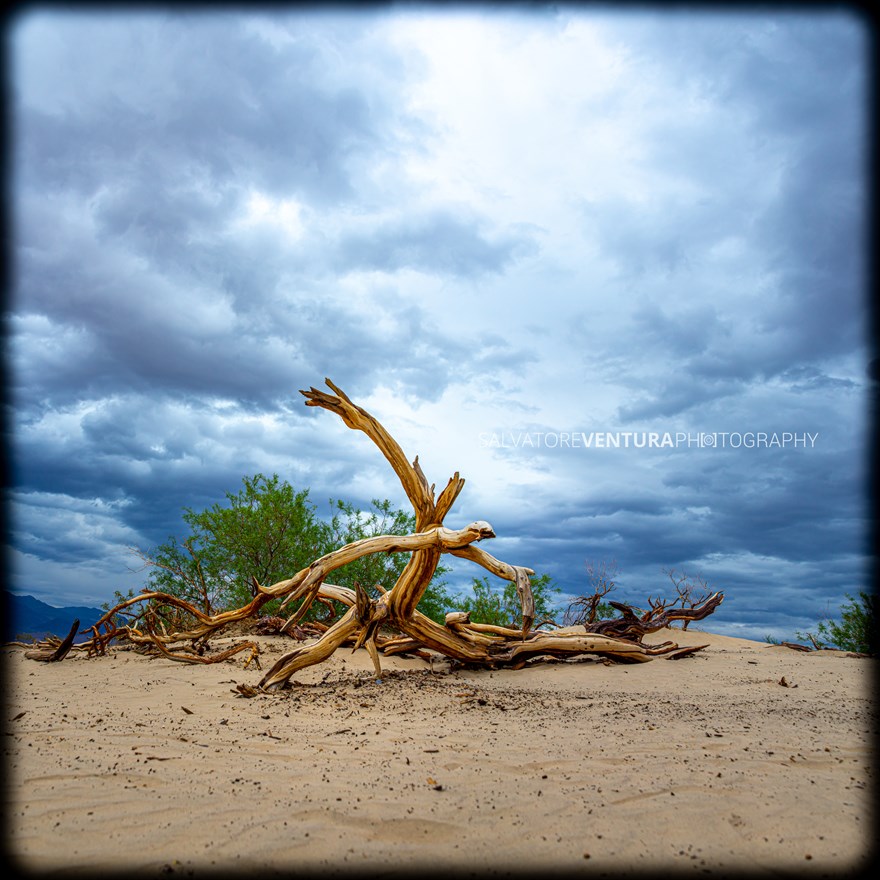 salvoventura-death-valley-national-park-2019-11