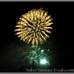4th_july_fireworks_shoreline_mountain_view_7891