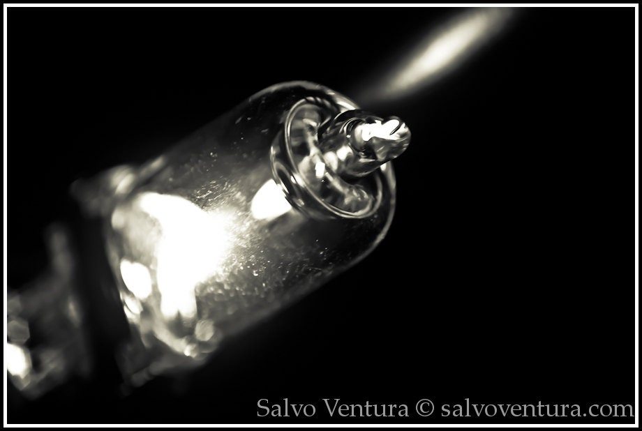 Macro photography of a light bulb
