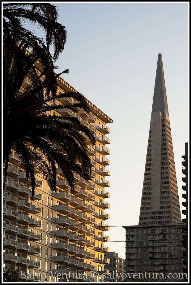 The San Francisco Pyramid building from Embarcadero