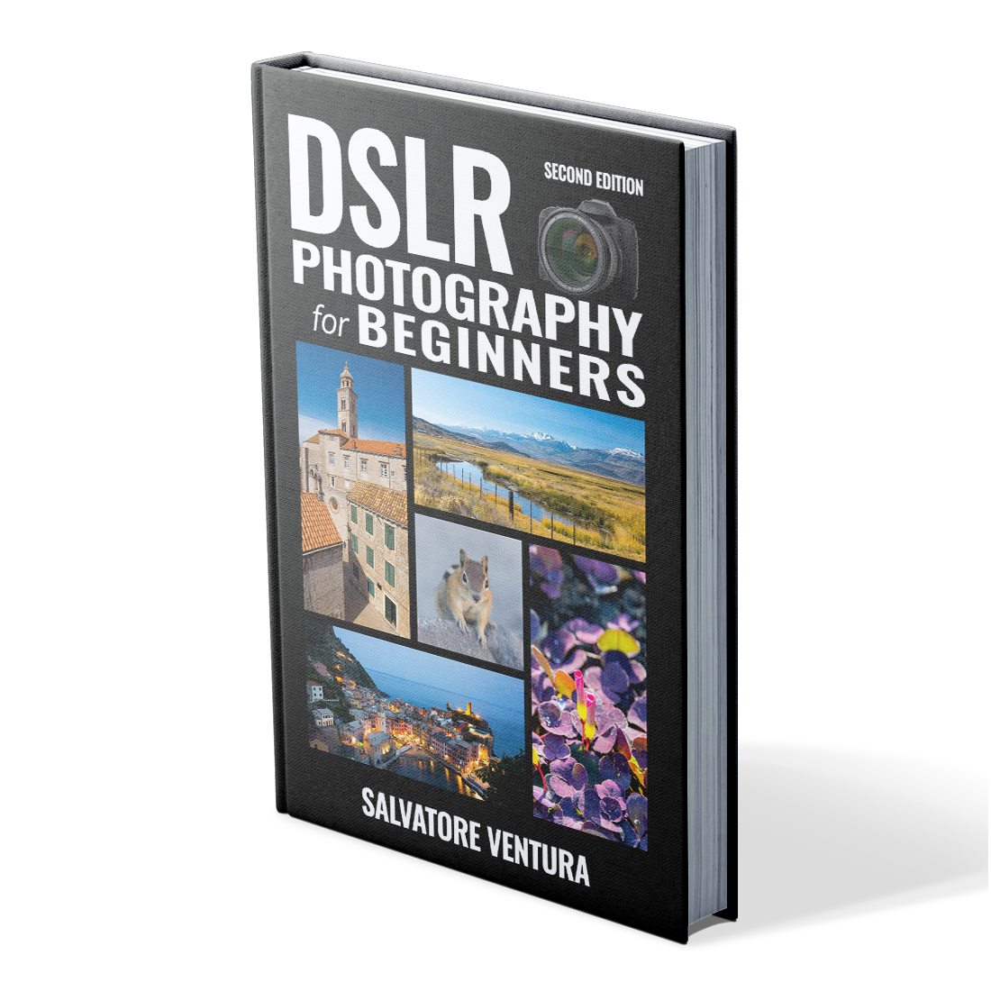 dslr for beginners book