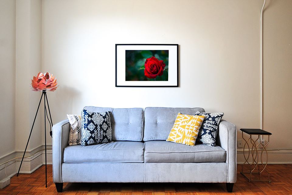 Red Rose, in wall art decor